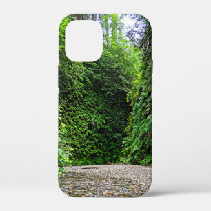 Creek Trail Winds in Green Walls of Fern Canyon iPhone 12 Mini Hoesje