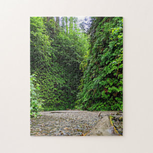 Creek Trail Winds in Green Walls of Fern Canyon Legpuzzel