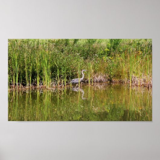 Creeping Heron 3 Poster (Voorkant)