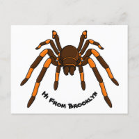 Creepy brown en oranje tarantula spider cartoon