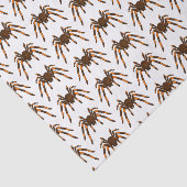 Creepy brown en oranje tarantula spider cartoon tissuepapier (Detail)