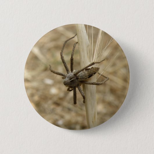 Creepy Crawly Spider Button (Voorkant)