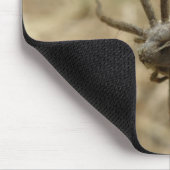 Creepy Crawly Spider Mousepad Muismat (Hoek)