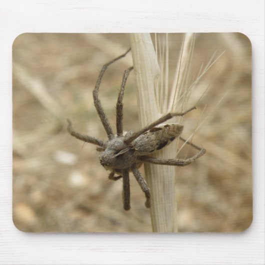 Creepy Crawly Spider Mousepad Muismat (Voorkant)