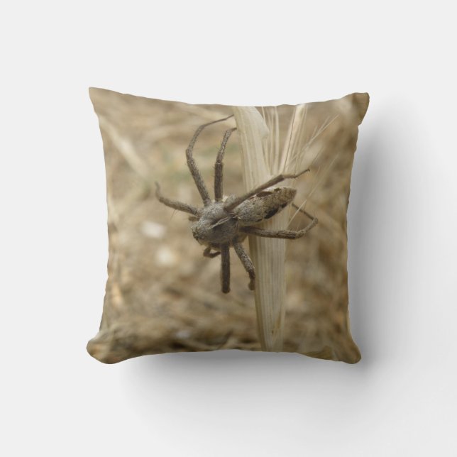 Creepy Crawly Spider Pillow Kussen (Voorkant)
