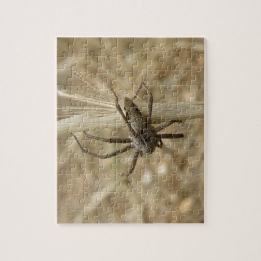 Creepy Crawly Spider Puzzle (Vertical)