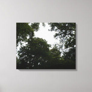 Creepy Forest Canvas Print