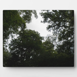 Creepy Forest Plaque Fotoplaat