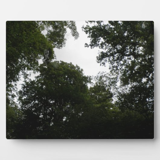 Creepy Forest Plaque Fotoplaat (Voorkant)