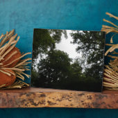 Creepy Forest Plaque Fotoplaat (Zijkant)