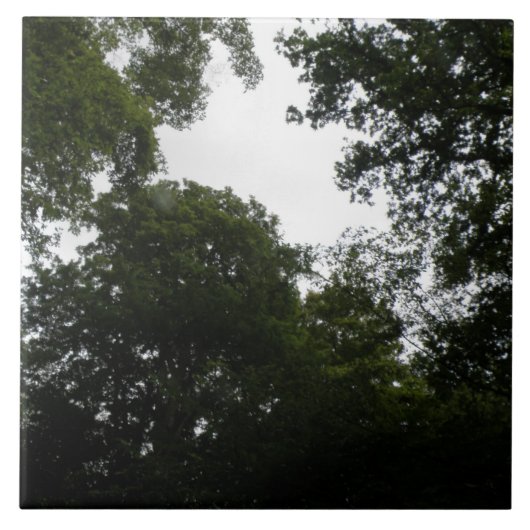 Creepy Forest Tile Tegeltje (Voorkant)