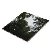 Creepy Forest Tile Tegeltje (Zijkant)