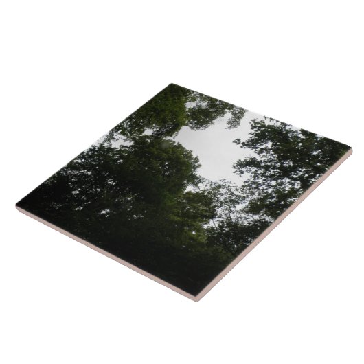 Creepy Forest Tile Tegeltje (Zijkant)