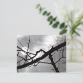 Creepy Halloween Silhouette Branches Mist & Sun Briefkaart (Staand voorkant)