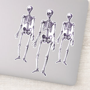 Creepy Paars Skeletons Halloween Party Decor Sticker