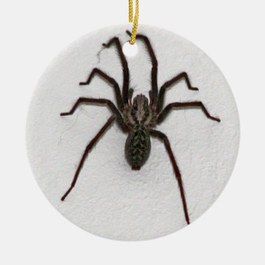 Creepy Spider Keramisch Ornament (Voorkant)