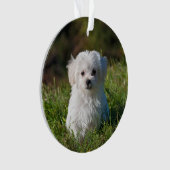 Créer un ornement de Noël acrylique - Ajouter un t (devant)