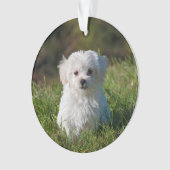 Créer un ornement de Noël acrylique - Ajouter un t (devant)