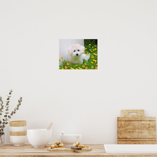 Créer une affiche (Cuisine)