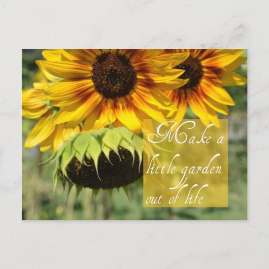 Créer Une Carte De Poste De Tournesols De Jardin (Devant)