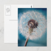 Créer une carte postale (Devant / Derrière)