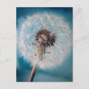 Créer une carte postale