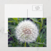 Créer une carte postale (Devant / Derrière)