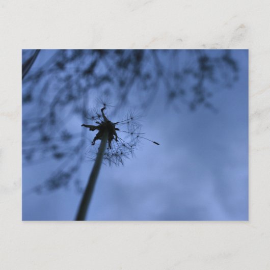 Créer une carte postale (Devant)