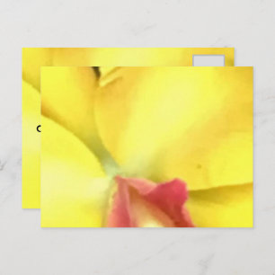 CRÉER VOS PROPRES CARTES POSTALES