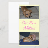 Créez vos propres Cartes photos (Devant / Derrière)