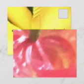 CRÉEZ VOS PROPRES CARTES POSTALES (Devant / Derrière)