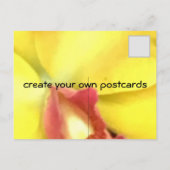 CRÉEZ VOS PROPRES CARTES POSTALES (Dos)