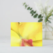 CRÉEZ VOS PROPRES CARTES POSTALES (Debout devant)