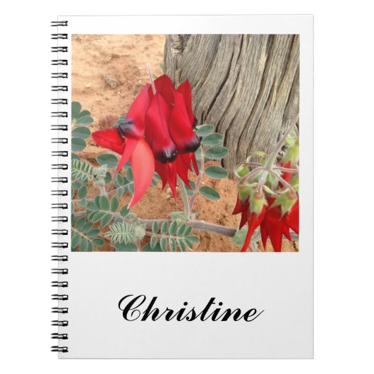 Créez votre carnet Sturt's Desert Pea (Devant)