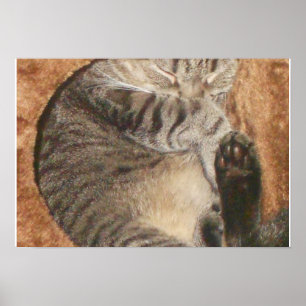 Créez votre propre affiche de 19 po x 13 po