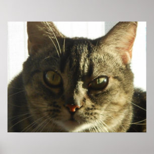 Créez votre propre affiche de 20 po x 16 po