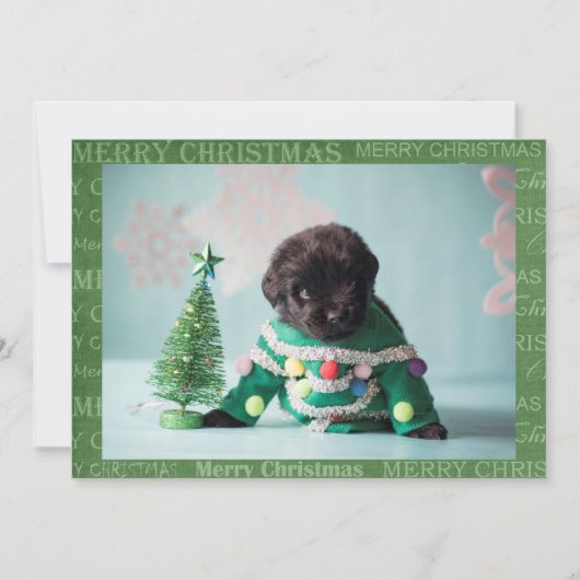 Créez votre propre carte de Noël (Devant)