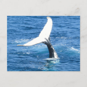 Créez votre propre carte postale de vacances photo
