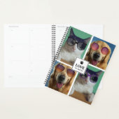 Créez votre propre collection photo de 4 animaux d (Devant avec enveloppe)