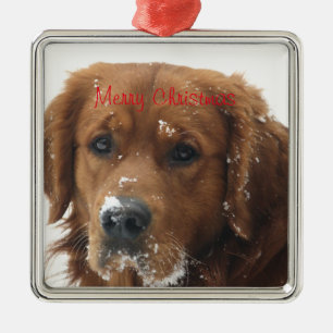 Créez votre propre ornement de Noël pour animal de