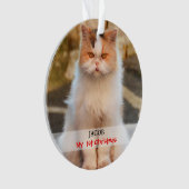 Créez votre propre photo de chat (devant)