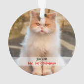 Créez votre propre photo de chat (dos)