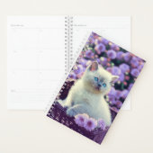 Créez votre propre photo de chat personnalisée (Devant avec enveloppe)