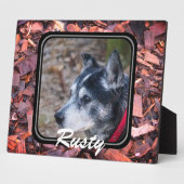 Créez votre propre plaque pour animal de compagnie (Côté)