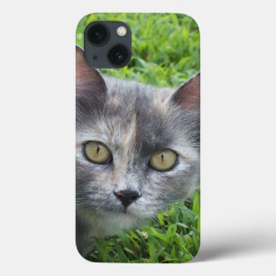 Crème bleue - Tortie Kitty coque ipad