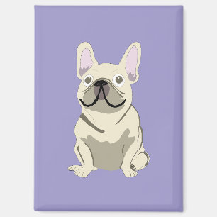 Crème Franse Bulldog, Magneet