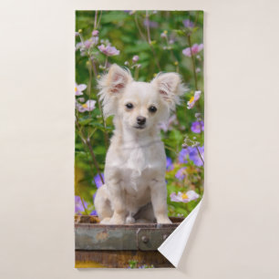 Crème lâche Chihuahua Dog Puppy Pet Photo
