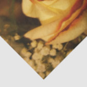 Crème Roos Tissuepapier (Detail)