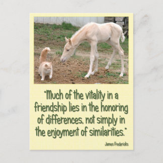 Cremello Companions Friendship Briefkaart