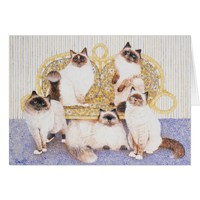 Crèmes au chocolat (Devant horizontal)